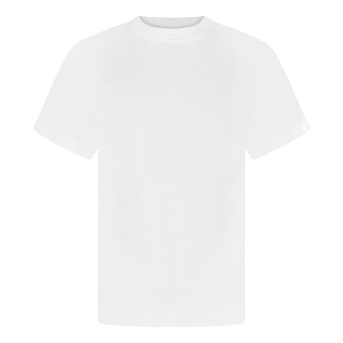 P.E. T-Shirt Unisex (Froebel House)