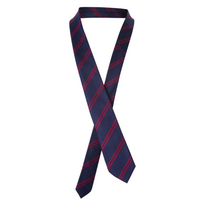 Croxby Primary Year 6 Tie